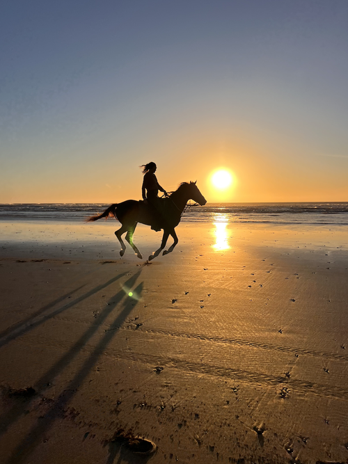 Randonnée à cheval sur la plage d'Essaouira